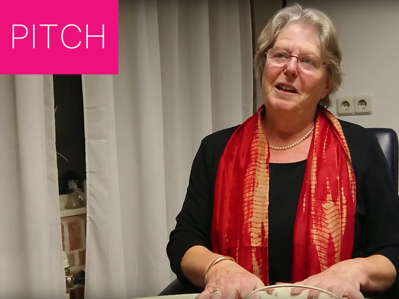 Pitch Stichting De Maretak Harderwijkse Uitdaging
