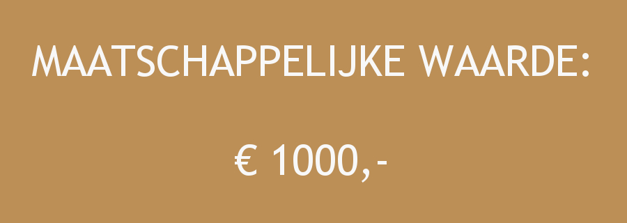 Maatschappelijke waarde Index-De Ontmoeting