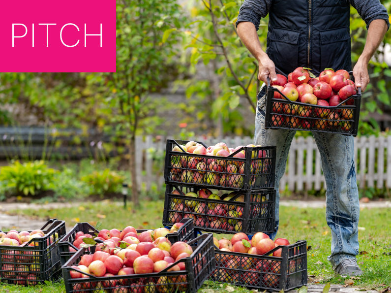 Laatste Pluk Groente & Fruitbrigade Harderwijkse Uitdaging