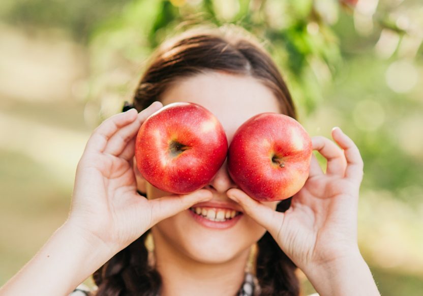 Laatste Pluk Harderwijkse Uitdaging