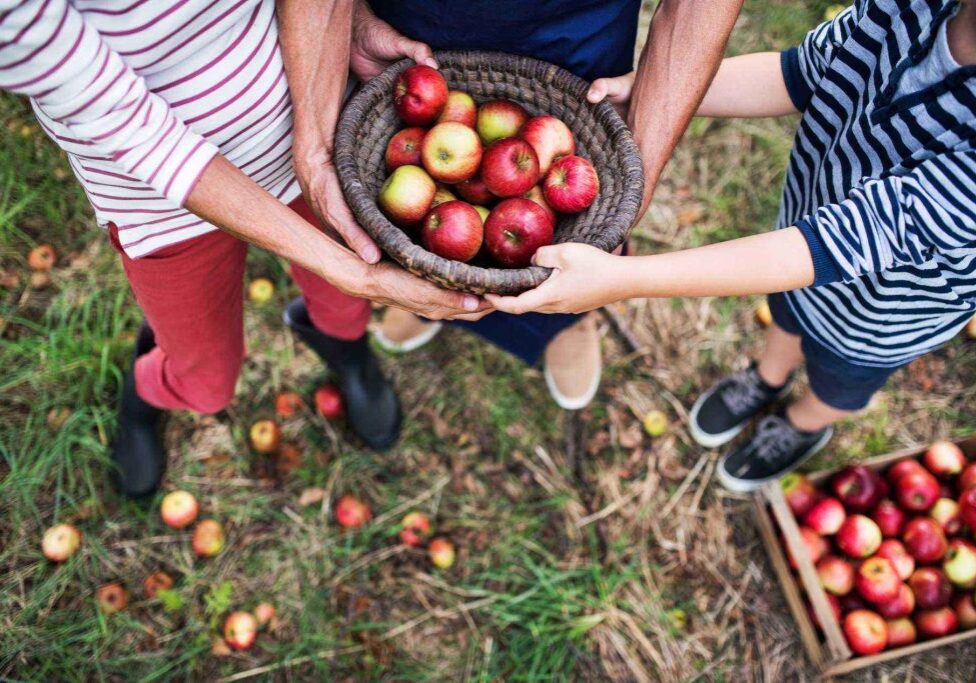 Help mensen met een laag inkomen aan appels via de Harderwijkse Uitdaging