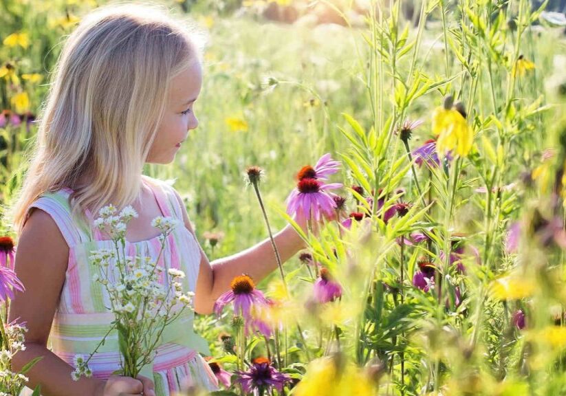 Kinderen voor Duurzaamheid Harderwijkse Uitdaging