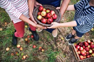 Help mensen met een laag inkomen aan appels via de Harderwijkse Uitdaging